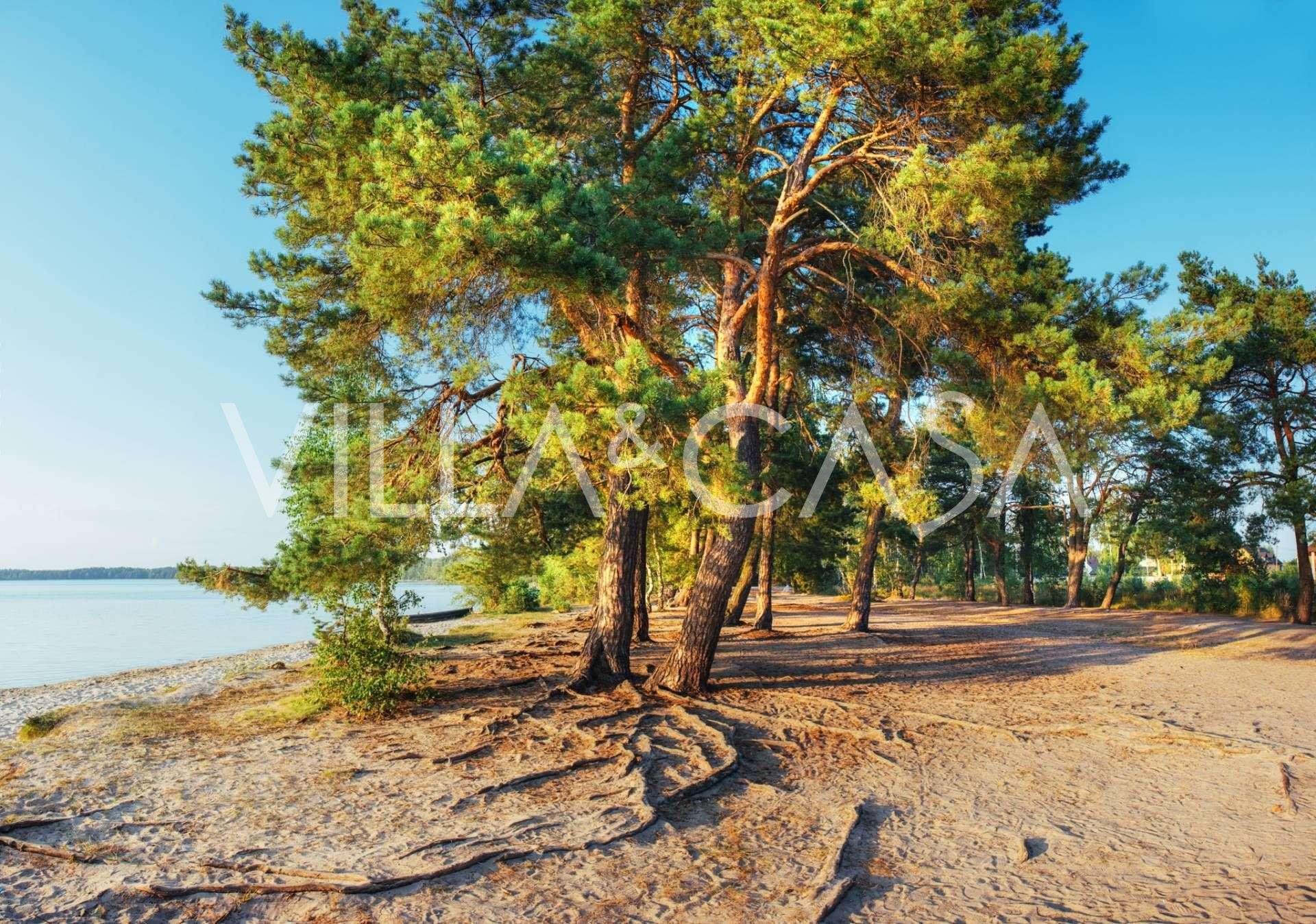 Kemping nad morzem w Toskanii na sprzedaż